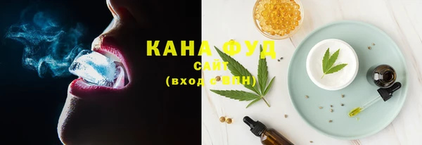 метадон Богданович
