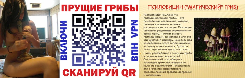 Псилоцибиновые грибы мицелий  Купить  Тында 