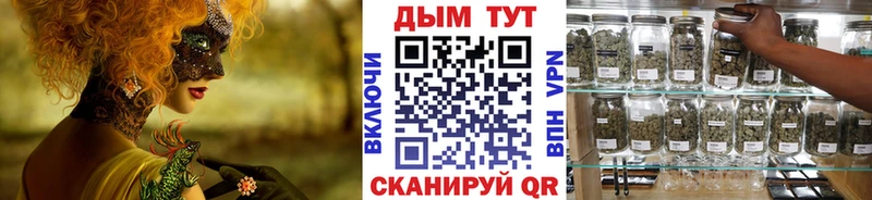 Купить закладки  Тында  Конопля Amnesia 